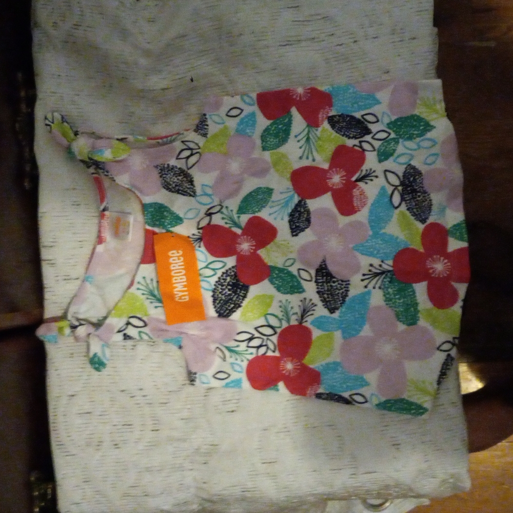 Girls Gymboree Size xs(4) Top Shirt